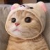 …. (@smdsaraburi) Twitter profile photo …. (@smdsaraburi) Twitter profile photo