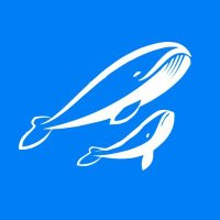 kycrypto.eth | BLASTR (@blastreth6286) 's Twitter Profile