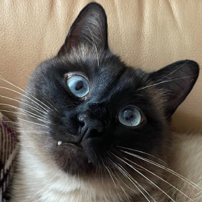 eddie_pramana's profile picture. CRypro is a key