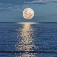 Jazmine 🇵🇸🇿🇦 (@luckydays1204) 's Twitter Profile Photo