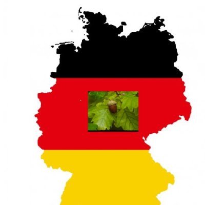 Gegner rot-grün-linker Ideologien und Phantasien. Kinder auf die Welt gesetzt, Boomer, 40 Jahre gearbeitet, fleißig Steuern gezahlt, Naturliebhaber, 🐕Freund.