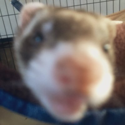 ふぁぶぁさんのプロフィール画像