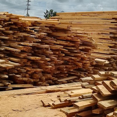 JAtati14195's profile picture. 