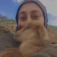 f1dan_1907 (@f1dan__1907) 's Twitter Profile Photo f1dan_1907 (@f1dan__1907) 's Twitter Profile Photo