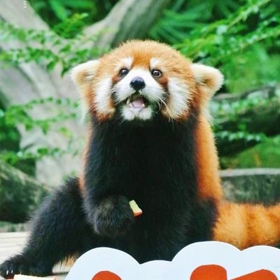 wanli_sky's profile picture. 追星