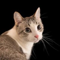 🇵🇭hi guys/Conner21/Constantine (@constantinedumb) 's Twitter Profile Photo 🇵🇭hi guys/Conner21/Constantine (@constantinedumb) 's Twitter Profile Photo