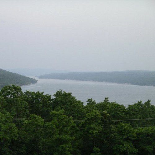 Tripleboard's profile picture. I am a neurologist & psychiatrist treating psychotic patients (mainly Schizophrenia & Bipolar disorders) at the Rochester Psychiatric Center, Roch NY.