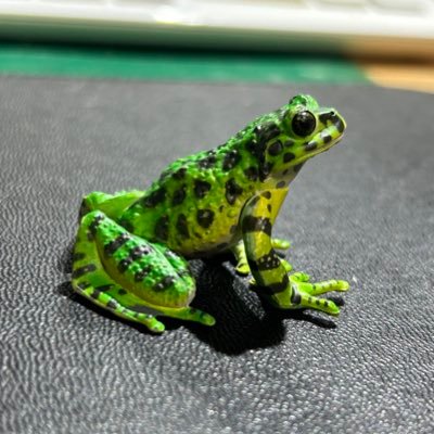 イシカワ×ガエルさんのプロフィール画像