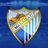 futSalManuel's profile image