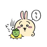 白米🍚 (@ng_sm46) 's Twitter Profile
