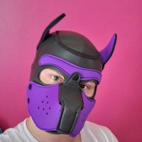 PupBenny (@btsmith1101) 's Twitter Profile