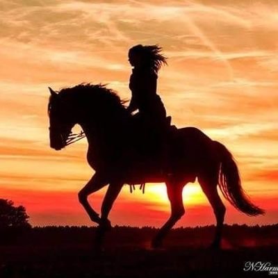 sntanju07's profile picture. 