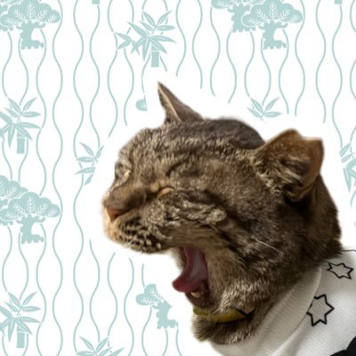 悠悠🌿🖼さんのプロフィール画像