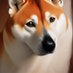 Koen 🕹️🔮 (@koen1893592) Twitter profile photo Koen 🕹️🔮 (@koen1893592) Twitter profile photo