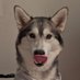 Elliot (@sl0th96) Twitter profile photo Elliot (@sl0th96) Twitter profile photo