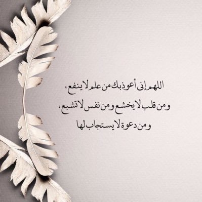 alnori_1431's profile picture. 