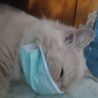 charedera (@charedera) 's Twitter Profile