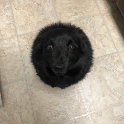 steam667's profile picture. bobby