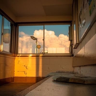 vanirain_4's profile picture. 