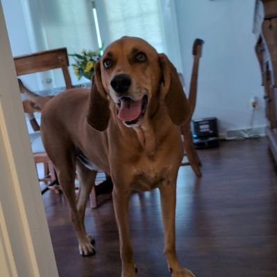 CoryBraithwaite's profile picture. Teacher, Coach