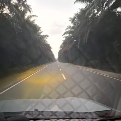 Patnertulen's profile picture. M37