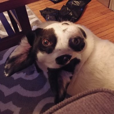 retconmyorgin's profile picture. 