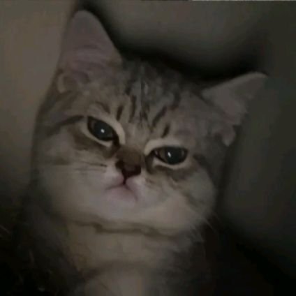 DyaSahera's profile picture. 