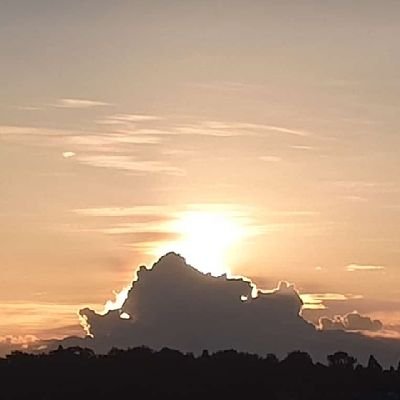 tkiiru_99's profile picture. business minded,God fearing,honesty and hard working believe in self and nothing is impossible to get