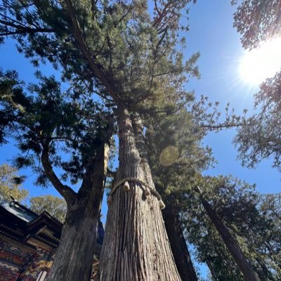 masanopo_pia's profile picture. 19卒 大学職員7年目 入試課→教務学生支援系部署→管財課→教務課