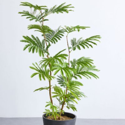 yutan_0623's profile picture. 