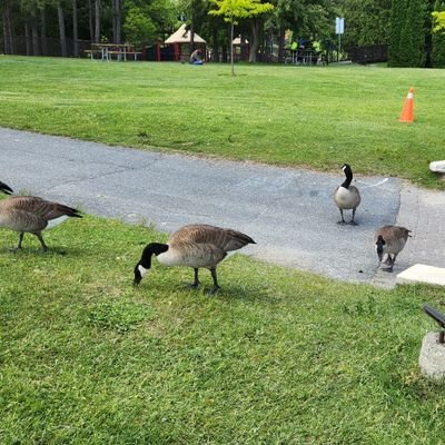 Muhoro_wagakabu's profile picture. 