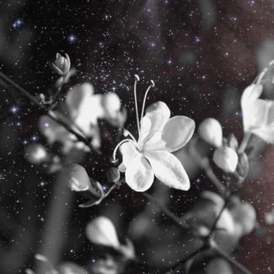 whateverisee_'s profile picture. 
