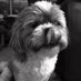 Precious Percy (@preciouspercy3) Twitter profile photo Precious Percy (@preciouspercy3) Twitter profile photo