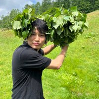 蒸気まさお (@joki_masao) Twitter profile photo