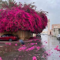 تنسيق ليبيا وتونس 🇹🇳🇱🇾🇹🇳🇱🇾 (@mohamed58243860) 's Twitter Profile