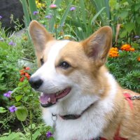こばやしなおき (@nasutter) 's Twitter Profile Photo こばやしなおき (@nasutter) 's Twitter Profile Photo