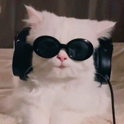 User of this account Share lots of cat pictures. 🐈⬛🐈 Support character content creators #jjk #jujutsukaisen