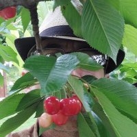 Nicolae Șofîlcă (@culaie) 's Twitter Profile Photo Nicolae Șofîlcă (@culaie) 's Twitter Profile Photo