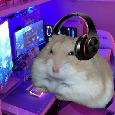 OddsMusicThots's profile picture. 29. A contradicting Libra with a specific taste in music. ♎️ I ramble about patterns when high. Will always be the elder emo at the party. 💀