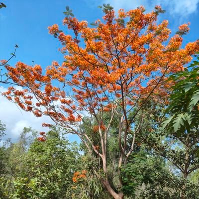 Ravindra_TM's profile picture. Love for Nature & Music, interested in Health and Nutrition, Cooking enthusiasts,trusts in Devine power!