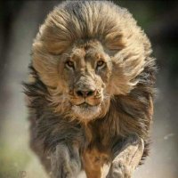 Roshan jha💧 (@roshanjha5478) 's Twitter Profile