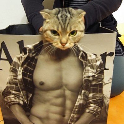 わいやでさんのプロフィール画像