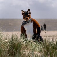 Taylor_awoo (@taylor_awoo) 's Twitter Profile