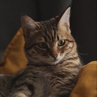 Olga Mov (@movolga8874) 's Twitter Profile Photo Olga Mov (@movolga8874) 's Twitter Profile Photo