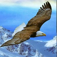Akif (@m_akifbjk) 's Twitter Profile