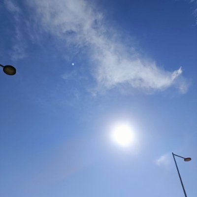 EgldDanX's profile picture. Return to origins