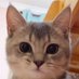 付丽 (@fl0993267455808) Twitter profile photo 付丽 (@fl0993267455808) Twitter profile photo