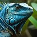 IGUANA๐ฆ (@odamejohn) Twitter profile photo IGUANA๐ฆ (@odamejohn) Twitter profile photo