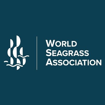 @World_Seagrass