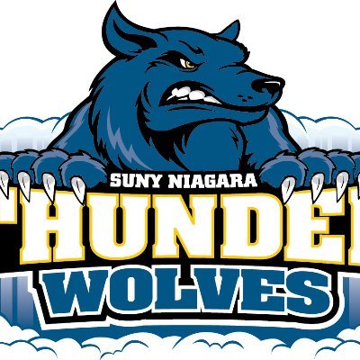 SUNY NIAGARA BASEBALL Profile